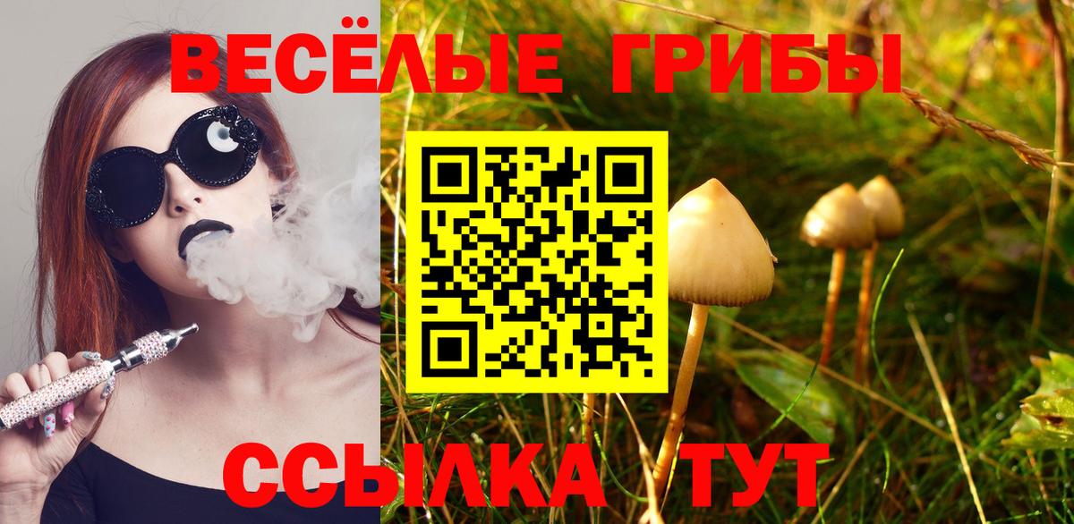 Псилоцибиновые грибы мухоморы Тосно