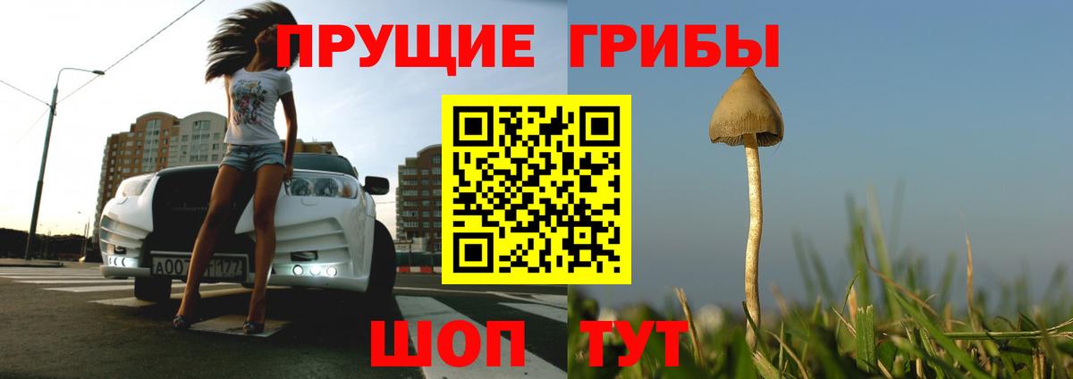 хочу   Вход с VPN  Тосно  Галлюциногенные грибы мицелий 